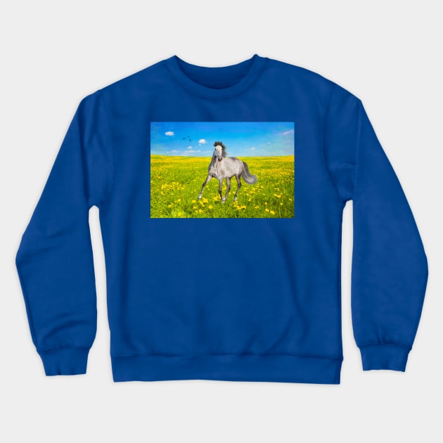 Dapple Gray Horse in Spring Field Crewneck Sweatshirt by lauradyoung